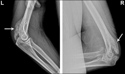 それは何ですか？