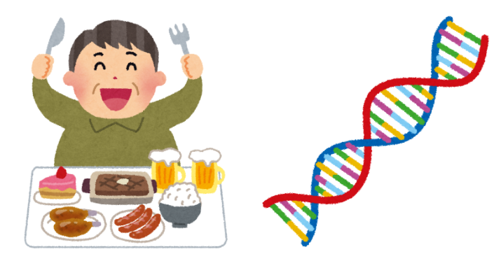 脊椎関節炎は、遺伝的な要因に加えて、高脂質・高糖質の食事などの環境因子も発症に関与すると考えられています。
